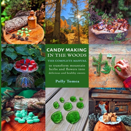 Candy Making In The Woods The Complete Manual to Transform Mountain Herbs and Flowers Into Delicious and Healthy Sweets