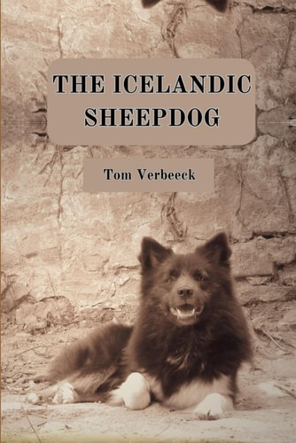 The Icelandic Sheepdog The Dog of the Vikings
