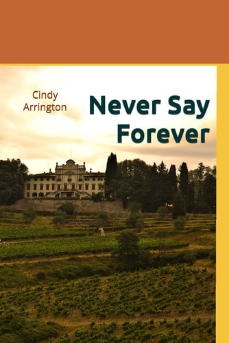 Never Say Forever