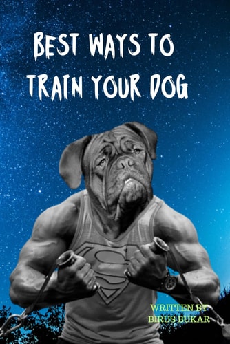 Best Ways To Train Your Dog
