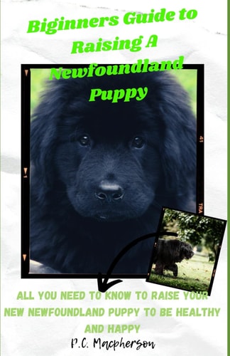 Beginners Guide to Raising a Newfoundland Puppy : All You Need to Know to Raise Your New Newfoundland Puppy to Be Healthy and Happy