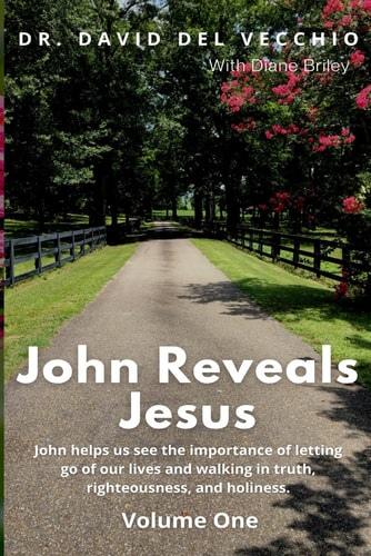 John Reveals Jesus Volume One