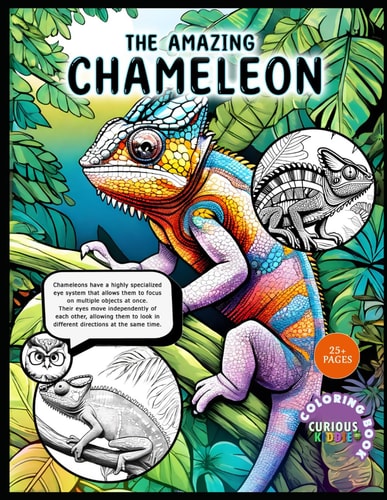 The Amazing Chameleon, Kids K-12 Wildlife Chameleon Coloring Book Educational Coloring Book