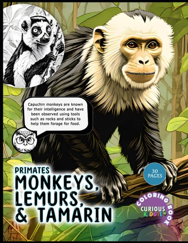 Primates Monkeys, Lemurs and Tamarin, Kids K-12 Primates Coloring Book: Educational Coloring Book