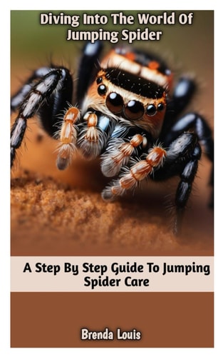 Diving Into the World of Jumping Spider A Step by Step Guide To Jumping Spider Care