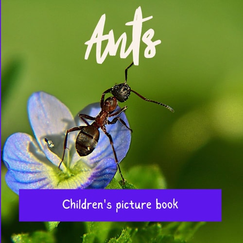 Ants Children's Picture Book