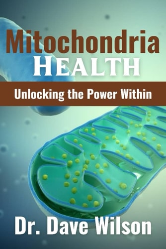 Mitochondria Health Unlocking the Power Within
