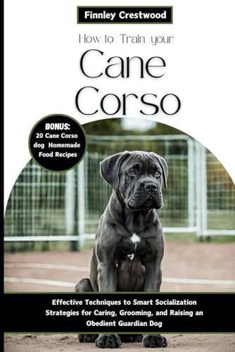 How to Train Your Cane Corso Effective Techniques to Smart Socialization Strategies for Caring, Grooming, and Raising an Obedient Guardian Dog