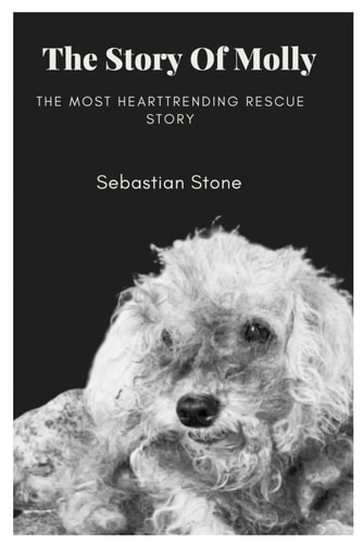 The Story of Molly The Heartrending Rescue Story
