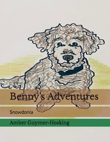 Benny's Adventures Snowdonia