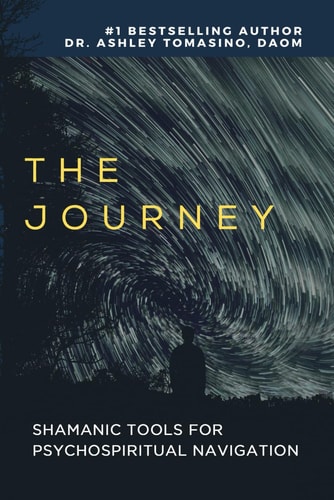 The Journey Explore Your Inner Shamanic Matrix With Or Without Psychedelics