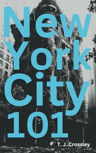 New York City 101