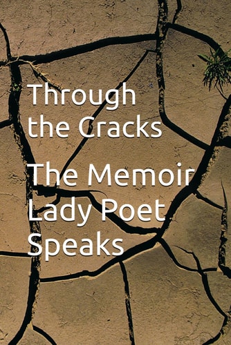 Through the Cracks My Story