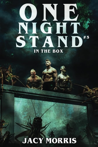 One Night Stand in The Box