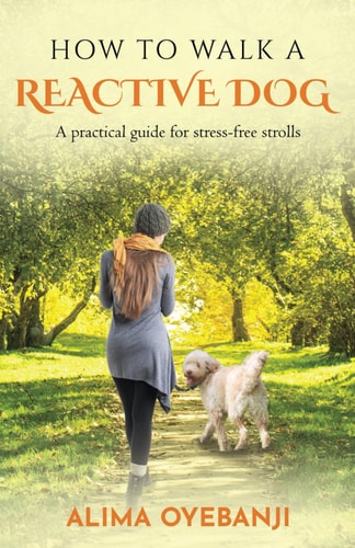 How to Walk a Reactive Dog A Practical Guide for Stress-free Strolls