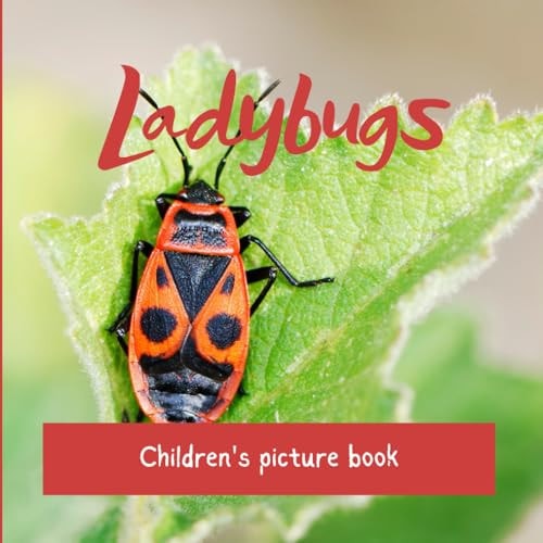 Ladybugs Children's Picture Book