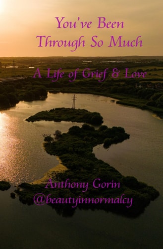 You've Been Through So Much A Life of Grief & Love