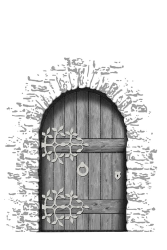 The Doors of Ayahuasca Three Experiences that Can Transform Pain