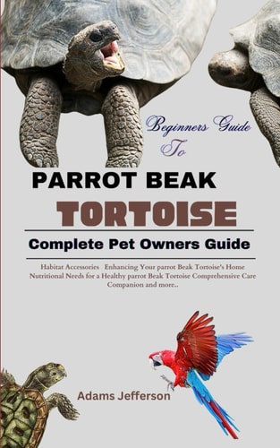 Parrot Beak Tortoise