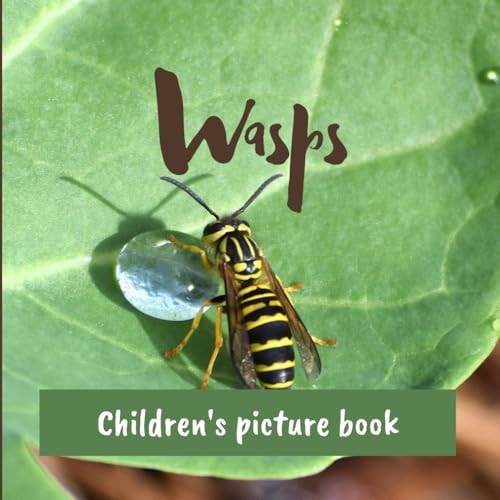 Wasps Children's Picture Book
