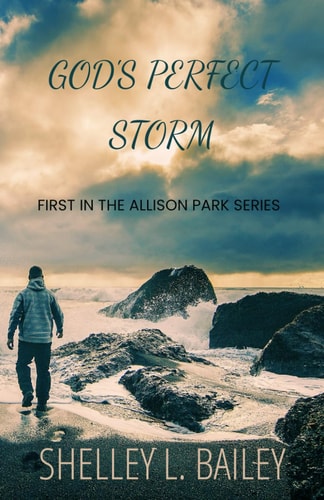 God's Perfect Storm Book 1 of the Allison Park Series