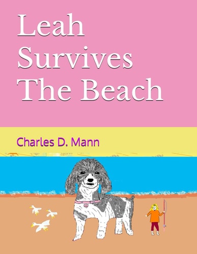 Leah Survives The Beach