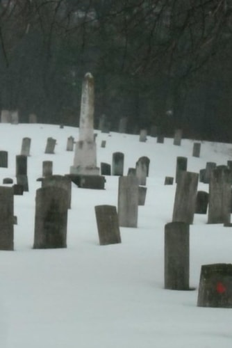 The Healing Power of Poetry Living with the Death of a Child: A Scholarly-Creative Inquiry