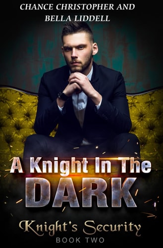 A Knight In The Dark Knight's Security Book Two