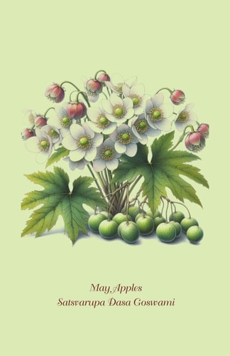 May Apples Writing Sessions May 5-May 13, 1996