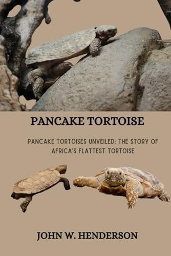 Pancake Tortoise Pancake Tortoises Unveiled: The Story of Africa's Flattest Tortoise