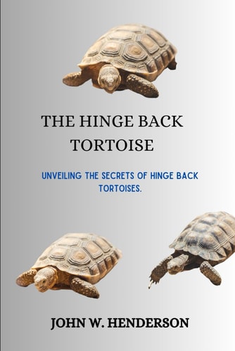 The Hinge Back Tortoise Unveiling the Secrets of Hinge Back Tortoises.