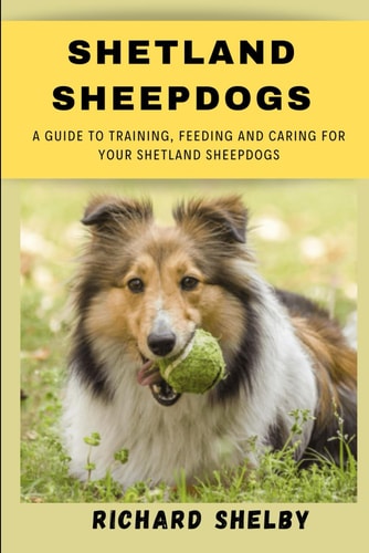 Shetland Sheepdogs A Guide to Training, Feeding and Caring for Your Shetland Sheepdogs