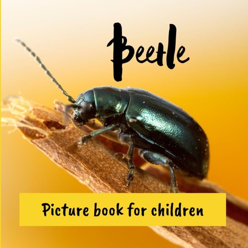 Beetle Picture Book for Children