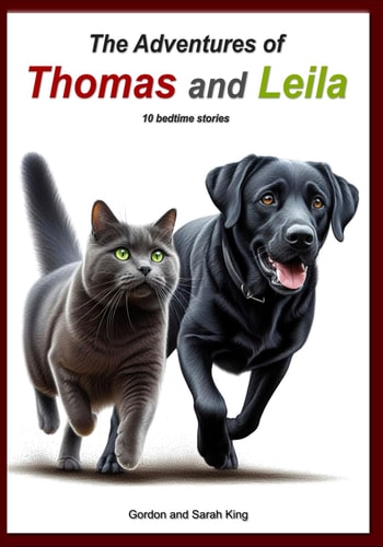 ADVENTURES OF THOMAS AND LEILA.