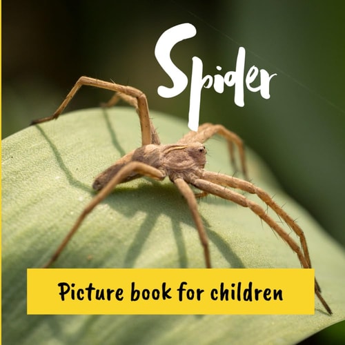 Spider Picture Book for Children