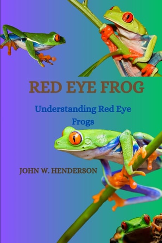 Red Eye Frog Understanding Red Eye Frogs