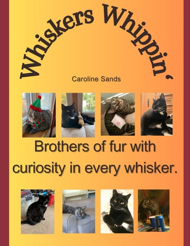 Whiskers Whippin' Basket Cats of Cuteness