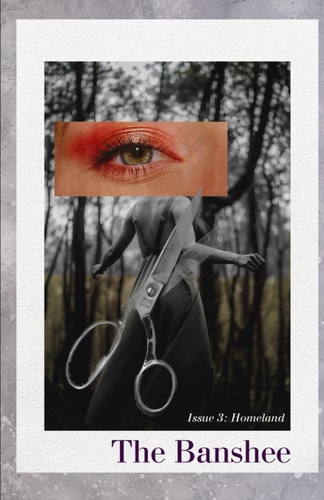 BANSHEE ISSUE 3 Homelands