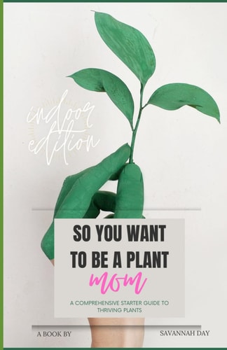 So You Want To Be a Plant Mom A Comprehensive Starter Guide to Thriving Plants