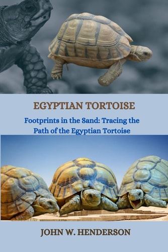 Egyptian Tortoise Footprints in the Sand: Tracing the Path of the Egyptian Tortoise
