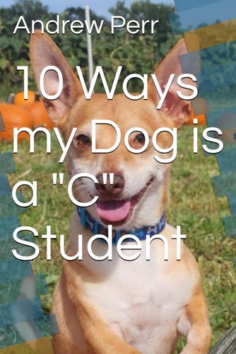 10 Ways My Dog is a "C" Student