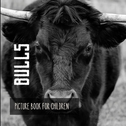 Bulls Picture Book for Children
