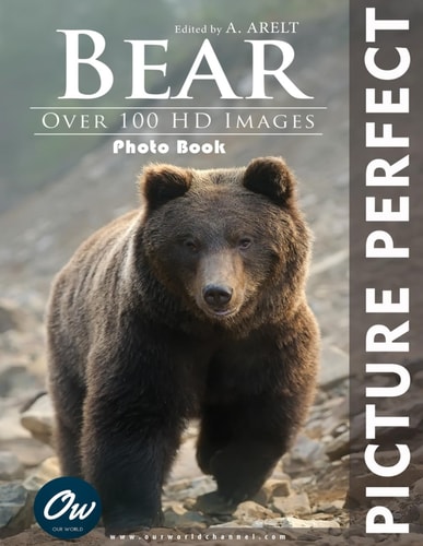 Bear Picture Perfect Photo Book: Over 100 HD Images