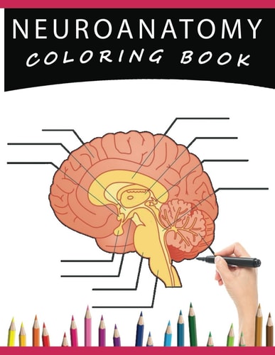 Neuroanatomy Coloring Book A Human Brain Anatomy Coloring Pages for Adults, Neuroscience, Medical Students, Nurses