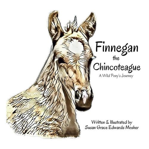Finnegan the Chincoteague A Wild Pony's Journey