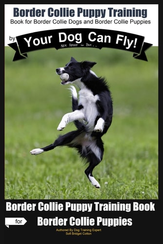 Border Collie Puppy Training by Your Dog Can Fly Not Really But... Did You Know? Puppy Training Begins . . . From the Car Ride Home Border Collie Puppy Training
