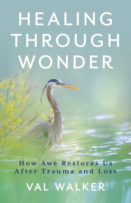 Healing Through Wonder: How Awe Restores Us After Trauma and Loss