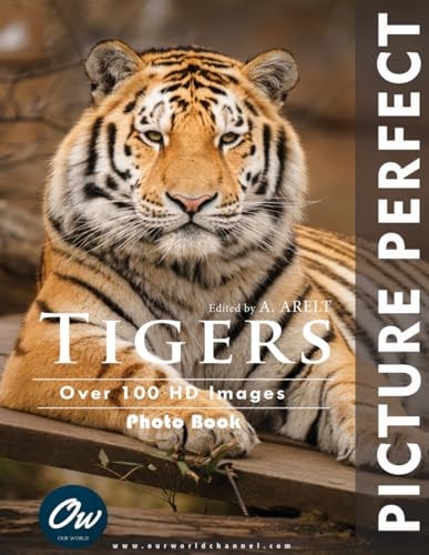 Tigers Picture Perfect Photo Book