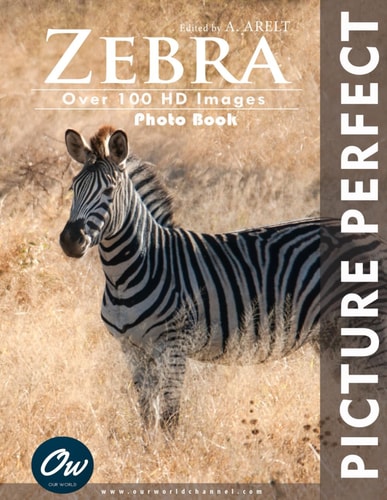 Zebra Picture Perfect Photo Book
