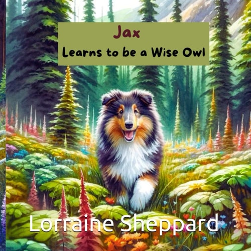 Jax Learns to be a Wise Owl